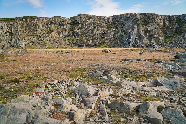 🔻Un concours pour améliorer les connaissances en biodiversité