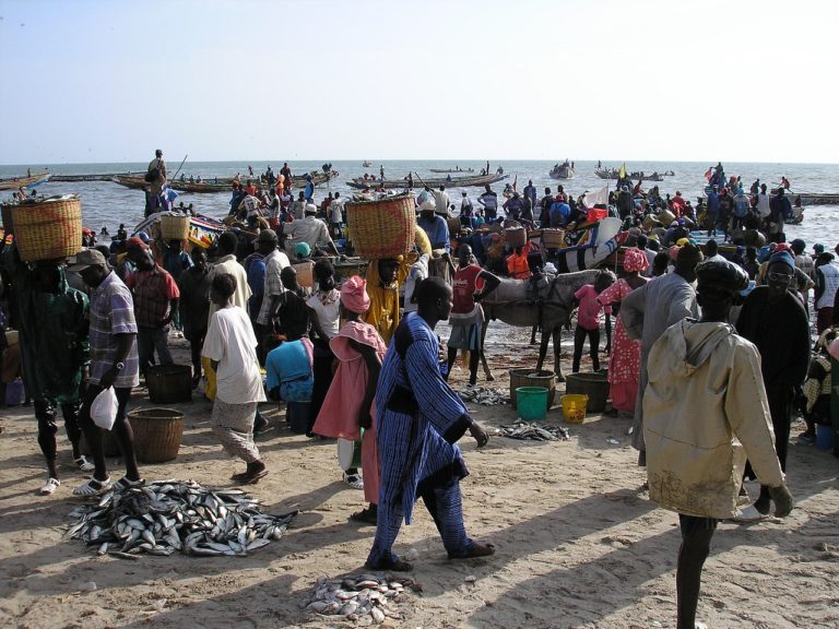 🔻Quel avenir pour le littoral d&rsquo;Afrique de l&rsquo;Ouest ?