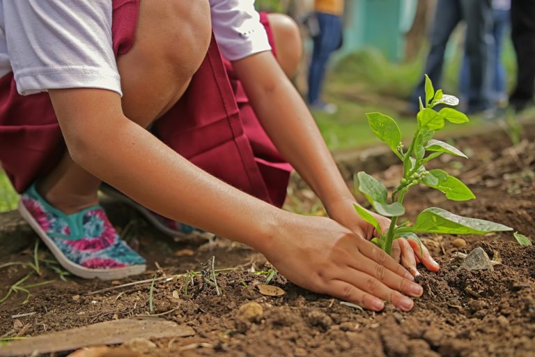🔻5 questions pour une conservation réussie