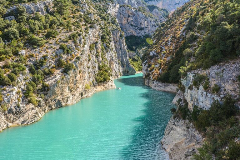 Atlas de la Biodiversité communale : 100 nouveaux projets
