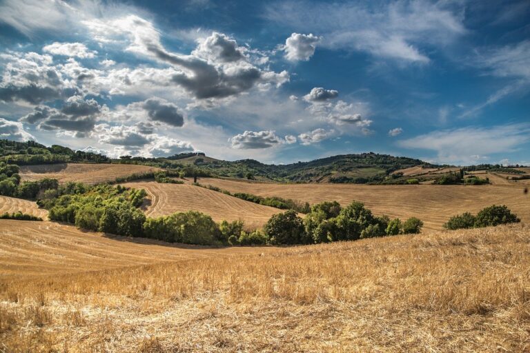 Comment stopper la déforestation importée ?