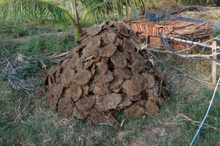 Produire sa propre énergie renouvelable à partir de fumier animal