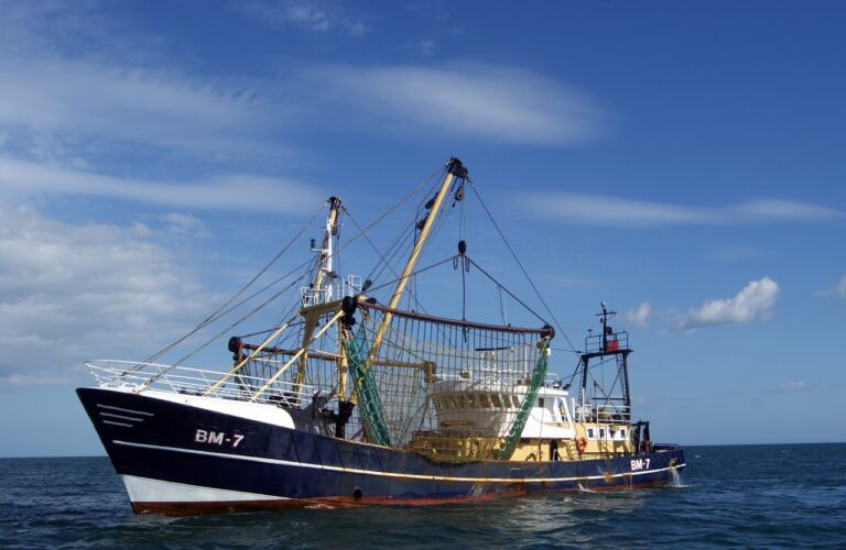 Les grandes nations de pêche subventionnent le pillage des océans