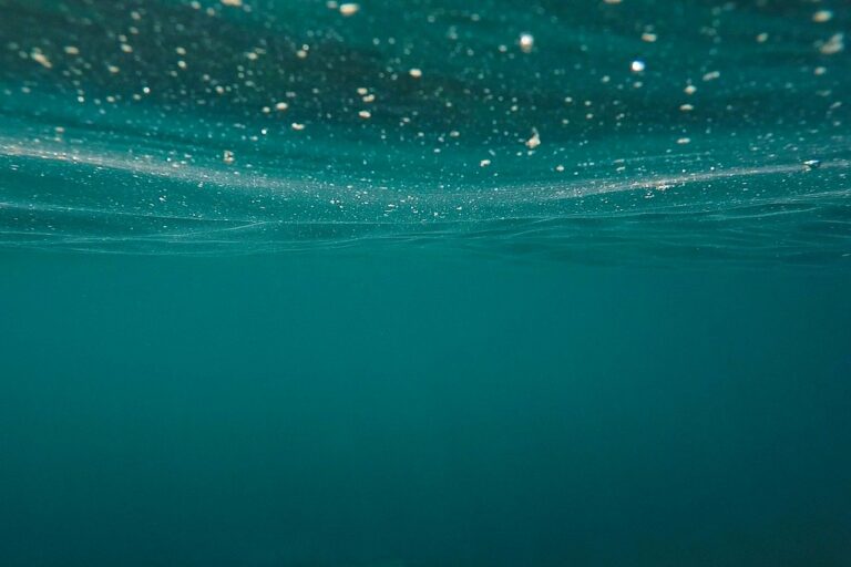 Les microbes sous-marins, des alliés dans la lutte contre le changement climatique