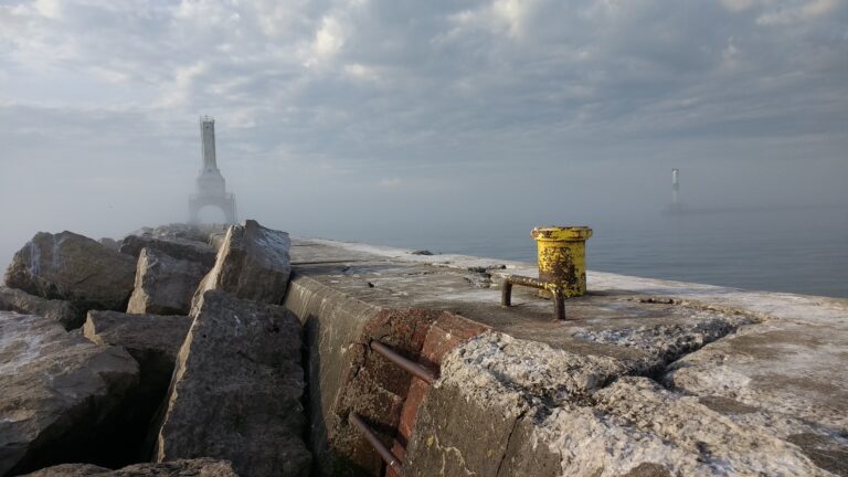 Infrastructures maritimes: « mimer » la nature pour préserver la biodiversité 