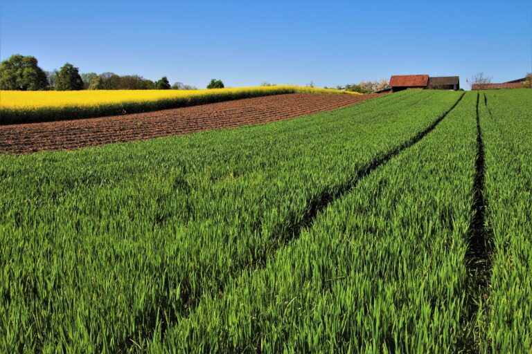 Sortie des pesticides : Hulot prend acte des annonces de Macron