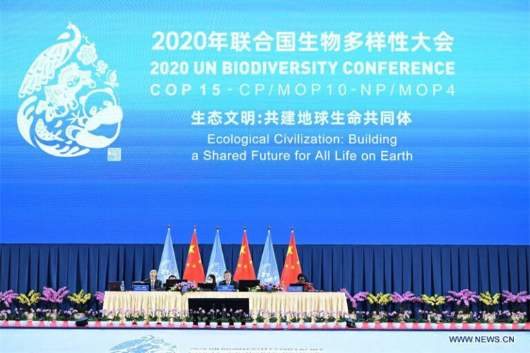 Biodiversité : adoption d&rsquo;une « Déclaration de Kunming » (non contraignante…) portée par la Chine