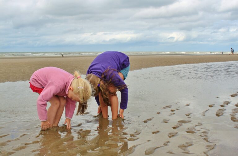 Les aires éducatives, pour sensibiliser les enfants à l&rsquo;environnement 