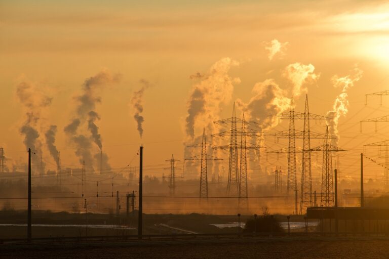 3000 milliards de dollars par an ! C&rsquo;est le prix de l&rsquo;effondrement des écosystèmes.