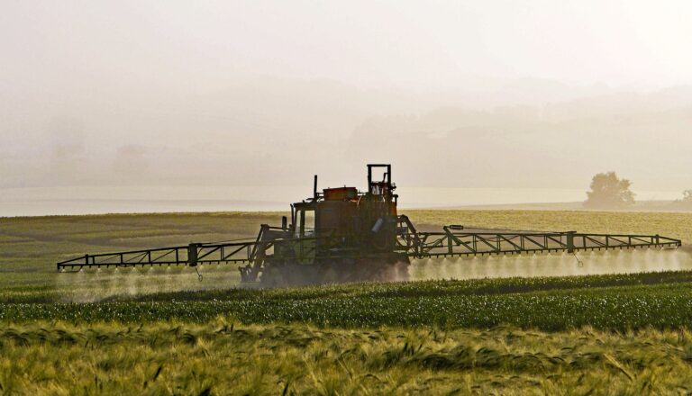 Le monde peut devenir moins accro aux engrais azotés sans sacrifier les rendements agricoles 