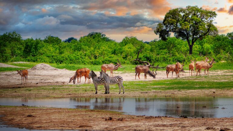 Zimbabwe: un parc national financé par un fonds européen sur 15 ans