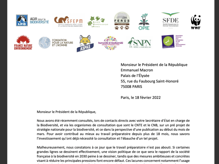 Des ONG veulent plus de temps pour boucler la stratégie nationale biodiversité