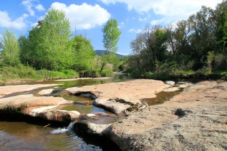 Après le Mont-Ventoux, la plaine des Maures? Vers un 10e parc naturel régional en Paca