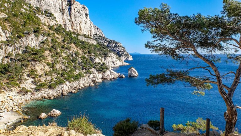 Moyennant réservation, une calanque marseillaise espère retrouver sérénité et biodiversité