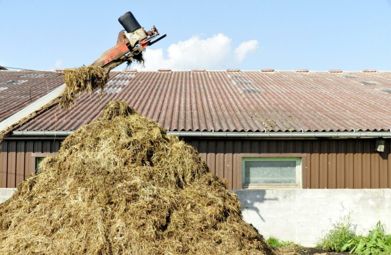 Bouquetins du Bargy : les locaux de FNE vandalisés en Haute-Savoie