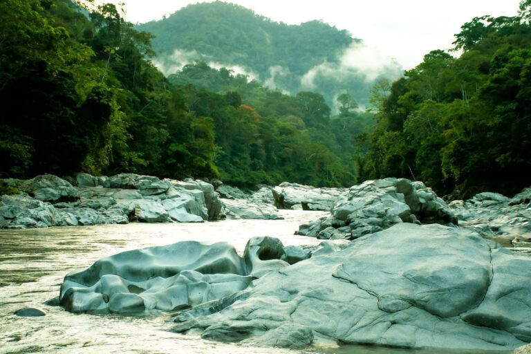 Biodiversité au Brésil: course contre la montre des scientifiques en Amazonie
