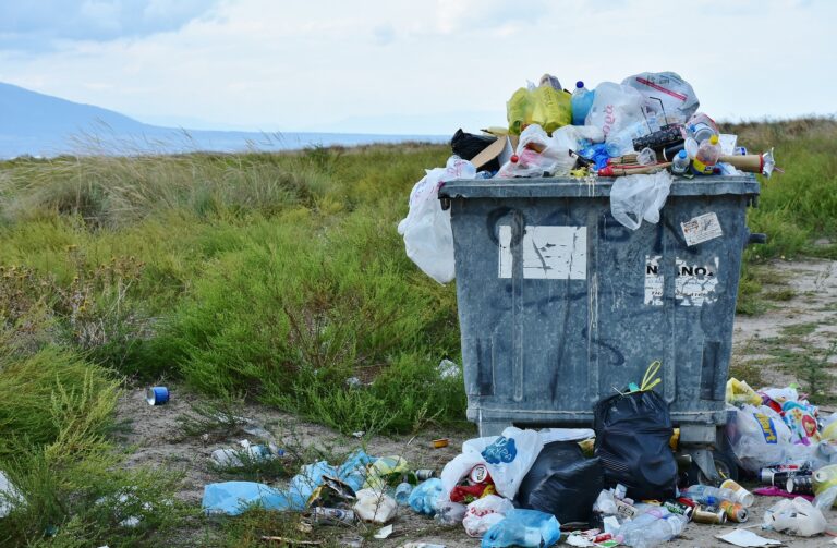 Plastique « biodégradable » : ne pas s’emballer trop vite