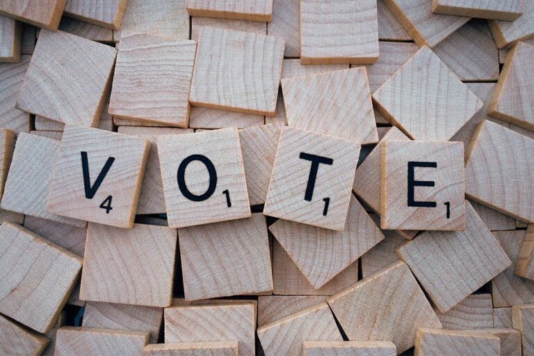 Bassines: la LPO propose un « référendum local », sur le modèle des votations citoyennes suisses
