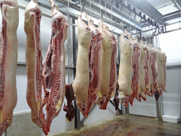 Maltraitance animale dans un abattoir aveyronnais: L214 fait condamner l&rsquo;Etat