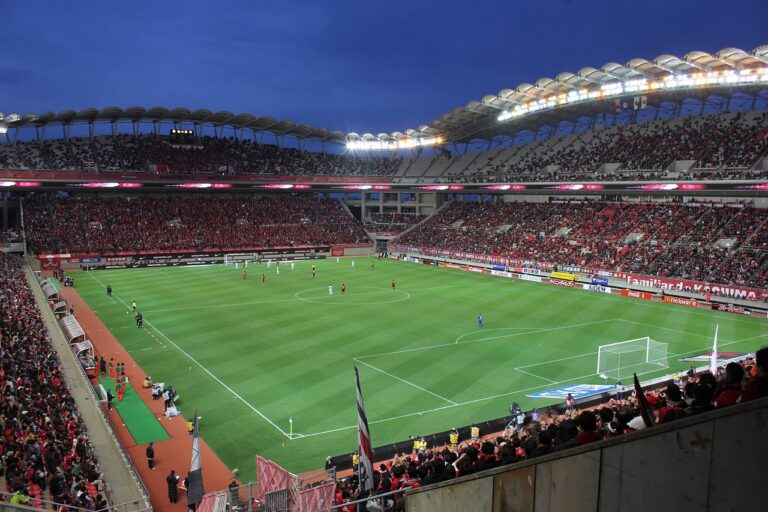 La planète a perdu un terrain de football de forêt vierge toutes les 5 secondes