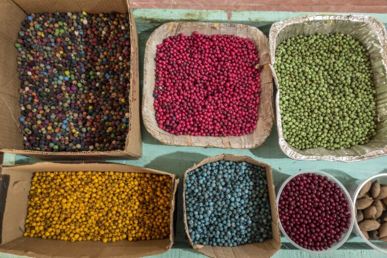 Le boom de l&rsquo;açai, une chance et une menace pour l&rsquo;Amazonie brésilienne 