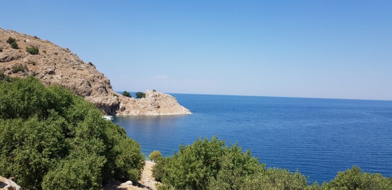 « Les animaux ont soif »: la mort à petit feu du plus grand lac de Turquie 