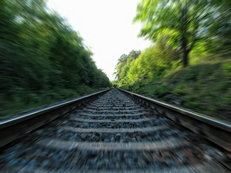 Forte amende pour SNCF Réseau pour complicité d&rsquo;atteinte à l&rsquo;environnement
