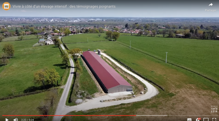 Elevages industriels : les pressions de l’agro-business sur l&rsquo;exécutif