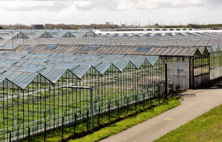 Près de Nantes, querelle autour du modèle de maraîchage « industriel » 