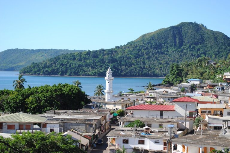 A Mayotte, les agriculteurs craignent une crise alimentaire liée à la crise de l&rsquo;eau