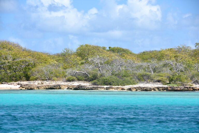 En Guadeloupe, des solutions fondées sur la nature pour réduire l&rsquo;érosion des côtes