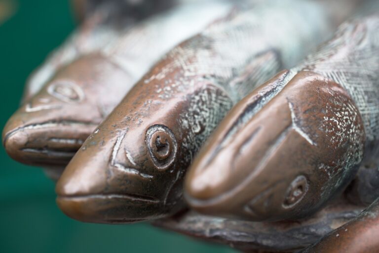 Dans la mer Baltique, le hareng menacé par le réchauffement des eaux 
