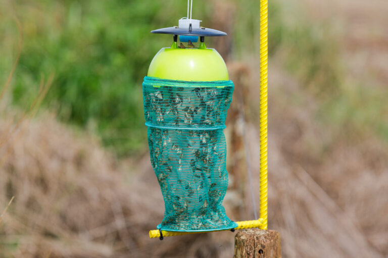 Brésil: au pays des « agrotoxiques », les biopesticides ouvrent une brèche 