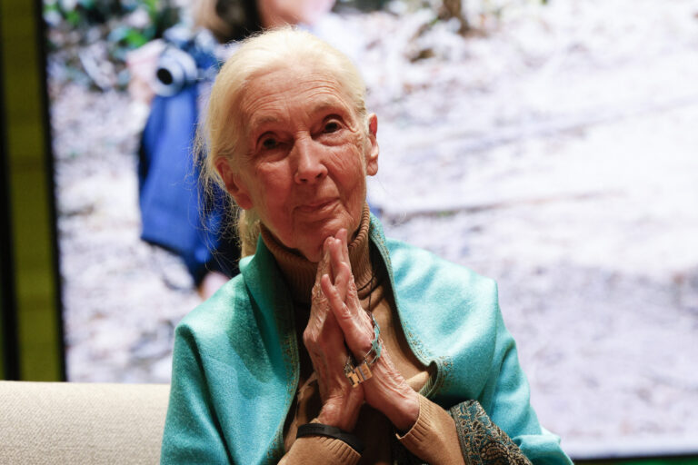 COP 16 : les enjeux – l&rsquo;appel de Jane Goodall