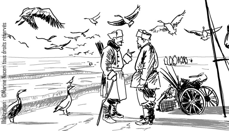 A lire – Le courage des oiseaux migrateurs