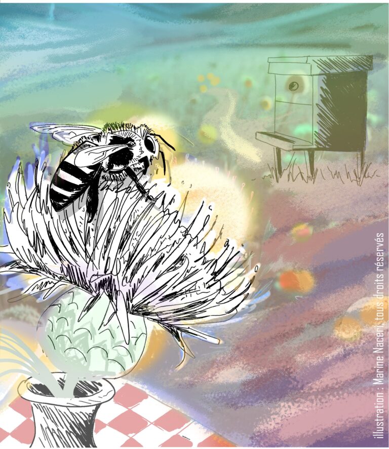 A lire : La vie secrète des abeilles