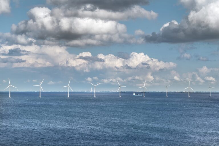 « Sauver les baleines »: la désinformation se mêle à l&rsquo;anti-éolien aux Etats-Unis