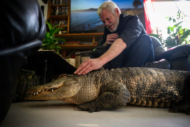 Un septuagénaire français devient youtubeur pour sauver ses animaux sauvages