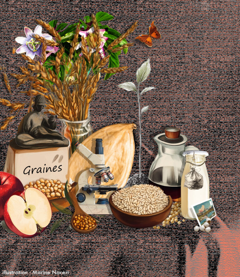 A lire – Graines. Tous les savoirs, toutes les histoires, tous les pouvoirs, tous les espoirs