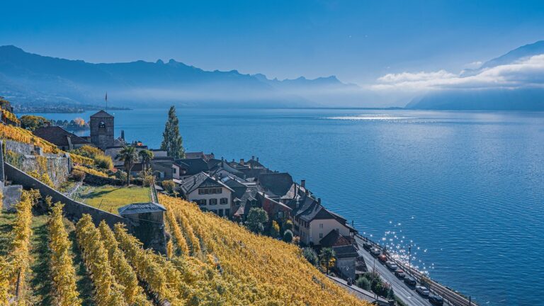 Le Léman et sa vie aquatique à l&rsquo;épreuve du réchauffement climatique