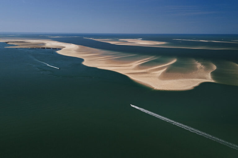 Au large de la dune du Pilat, un « joyau » de biodiversité en péril