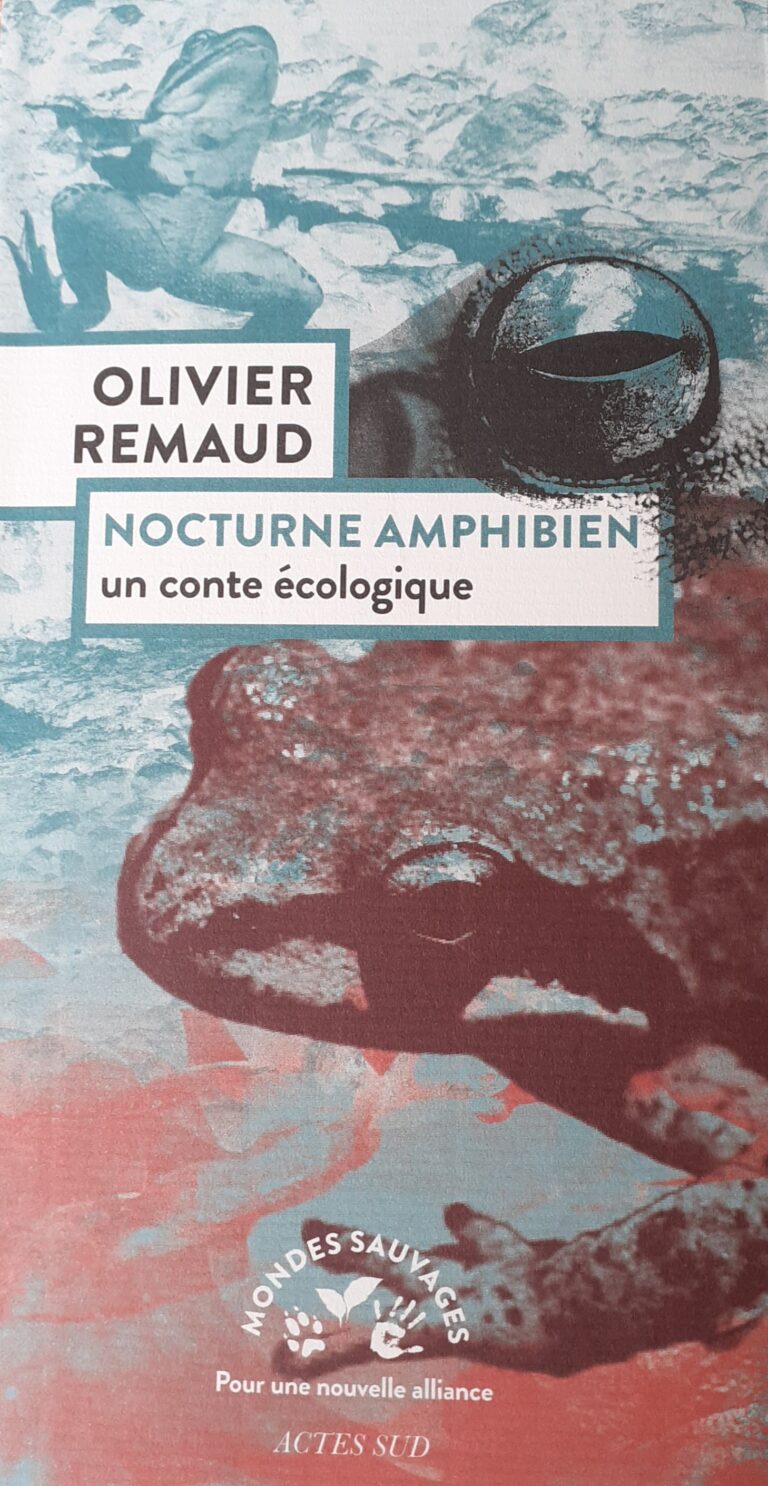 A lire – Nocturne amphibien. Un conte écologique, Olivier Remaud