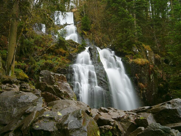 France: les paisibles montagnes des Vosges dérangées par le surtourisme